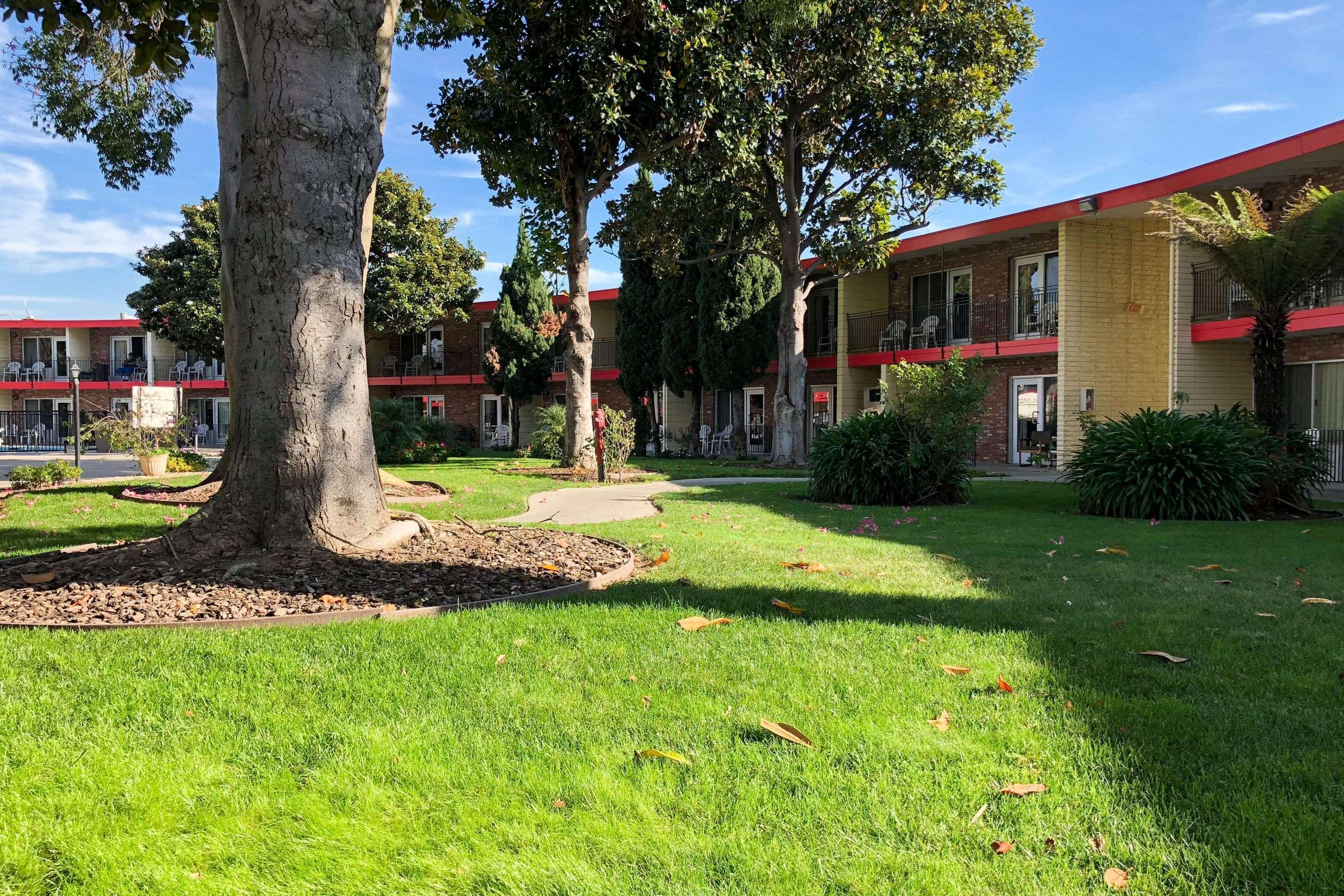 Econo Lodge Inn & Suites Oakland Airport מראה חיצוני תמונה