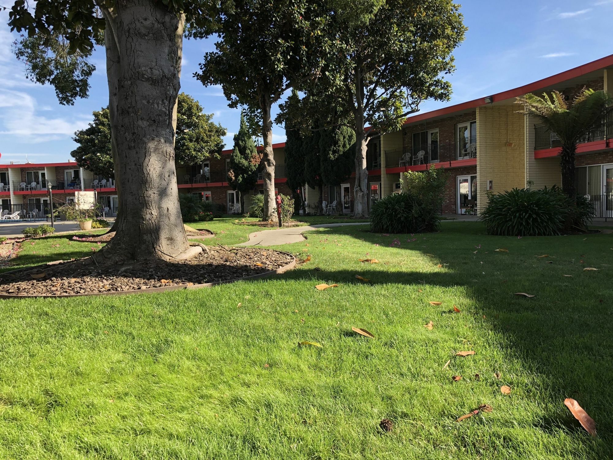 Econo Lodge Inn & Suites Oakland Airport מראה חיצוני תמונה