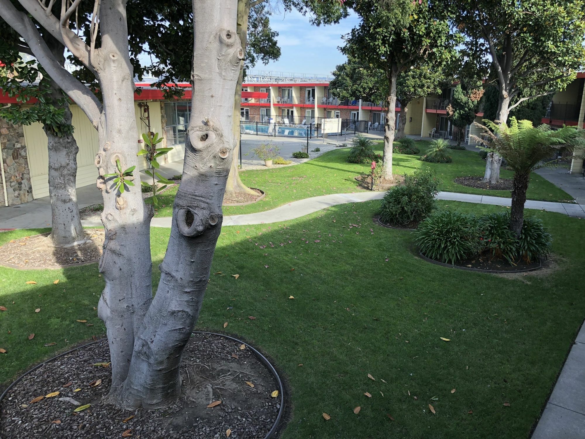 Econo Lodge Inn & Suites Oakland Airport מראה חיצוני תמונה